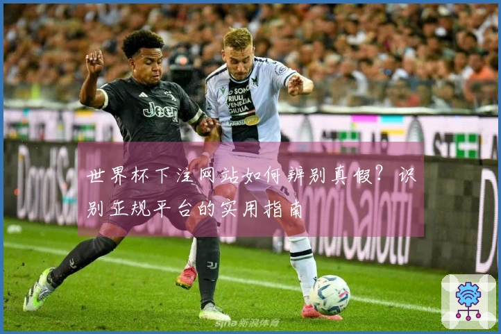 世界杯下注网站如何辨别真假？识别正规平台的实用指南