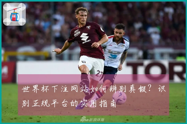 世界杯下注网站如何辨别真假？识别正规平台的实用指南